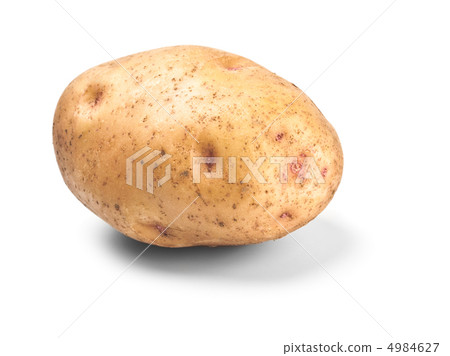 single potato in peel single potato in peel 4984627