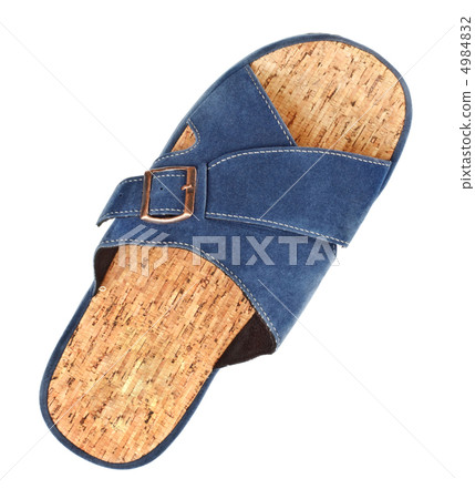 blue slipper blue slipper 4984832