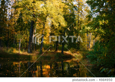 river in autumn forest river in autumn forest 4984950