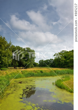 calm river in forest 4985217