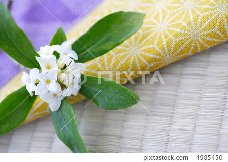 Sinking flower Sinking flower 4985450