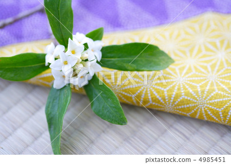 下沉的花 下沉的花 4985451