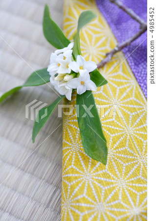 Sinking flower Sinking flower 4985452