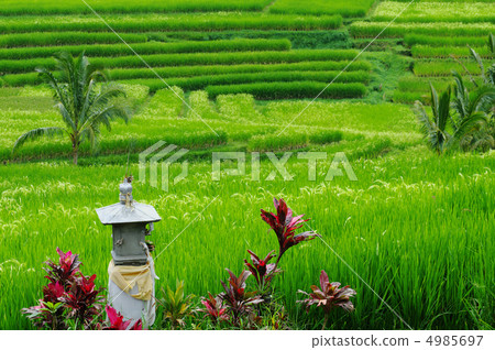 巴厘島 4985697
