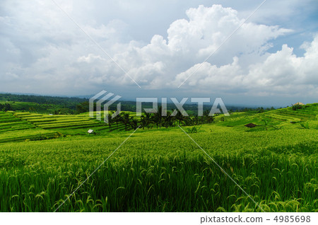 巴厘島 巴厘島 4985698