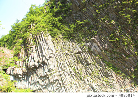 Fresh green of Kiyotsugyo Fresh green of Kiyotsugyo 4985914
