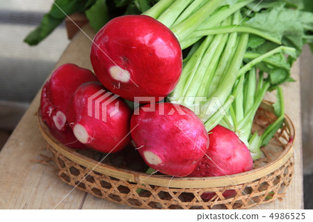 Red turnip 4986525
