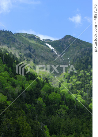 Mt. Mt. Mt. Mt. 4987176