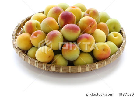 Minami Takane Minami Takane 4987189