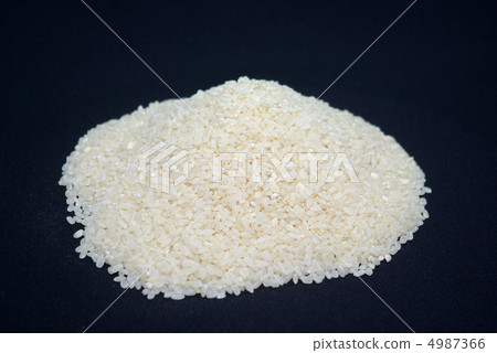 古板的古老老老老米 4987366