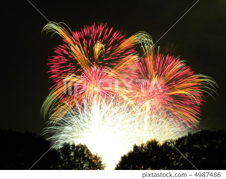 PL fireworks (2011) 4987486