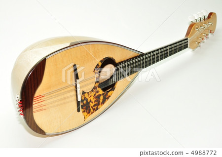 New mandolin 4988772