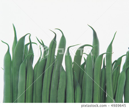 彩色的蔬菜和水果 4989645