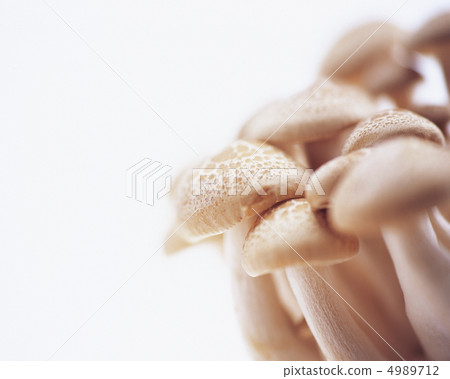 彩色的蔬菜和水果 4989712