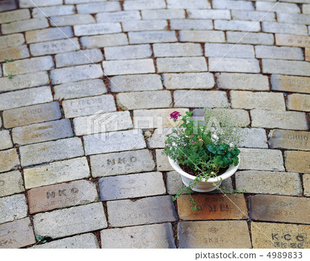 Dress flowers Dress flowers 4989833