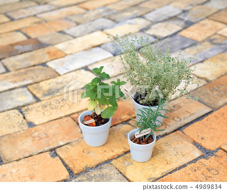 Dress flowers Dress flowers 4989834