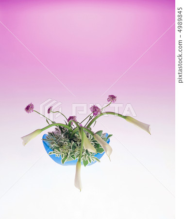 Dress flowers 4989845