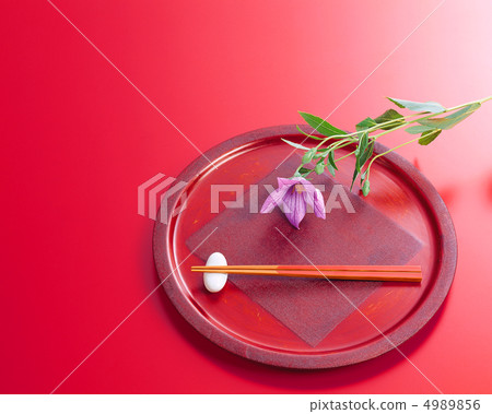 裝扮花 裝扮花 4989856