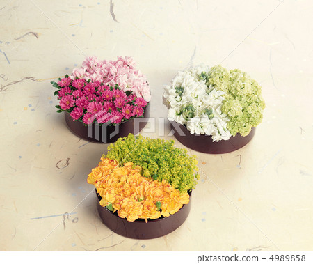 裝扮花 裝扮花 4989858