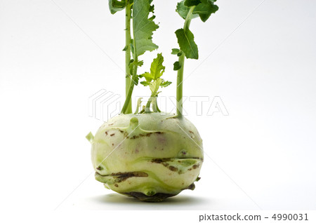 Kohlrabi 4990031