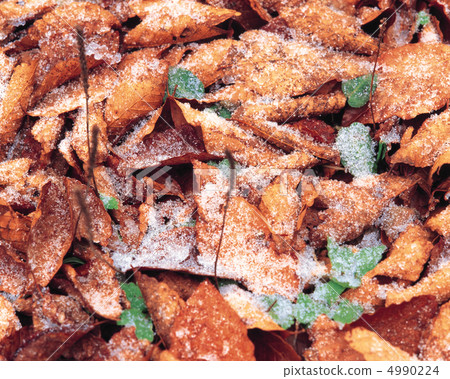 Konoha poetry 4990224