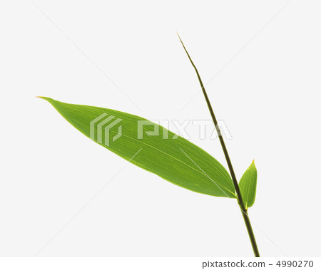 木葉詩 木葉詩 4990270