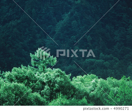 木葉詩 木葉詩 4990271