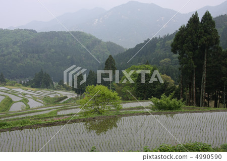 Rice terraces Rice terraces 4990590