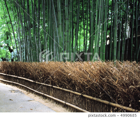 Kyoshin exhibition landscape Kyoshin exhibition landscape 4990685