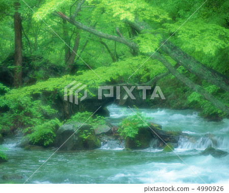 Prosody of water (rhythm) 4990926