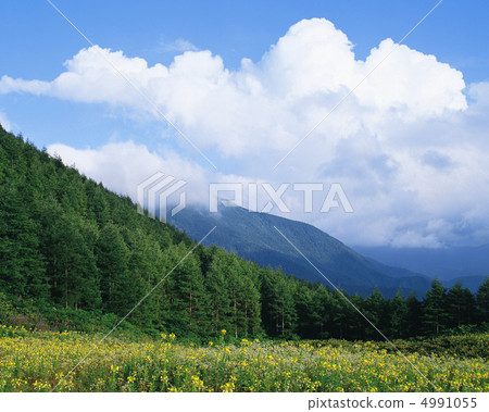 Japanese mountain calendar Japanese mountain calendar 4991055