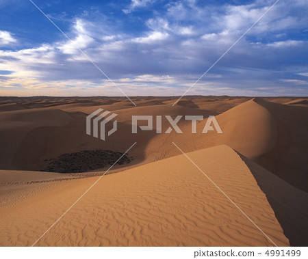 Desert dreamlike 4991499