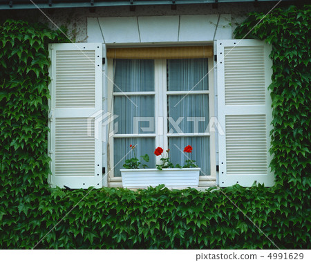 European window European window 4991629