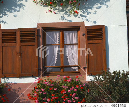 European window European window 4991630