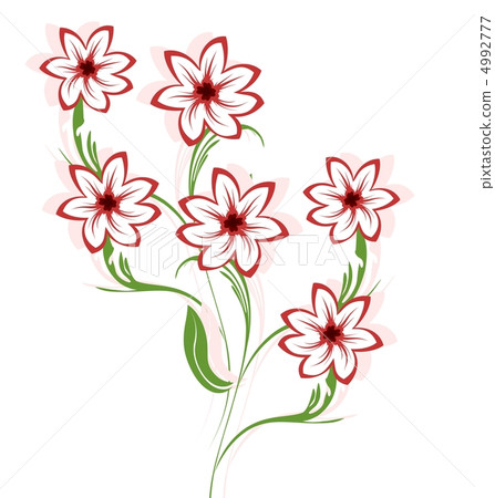 asters, an aster, bouquet 4992777