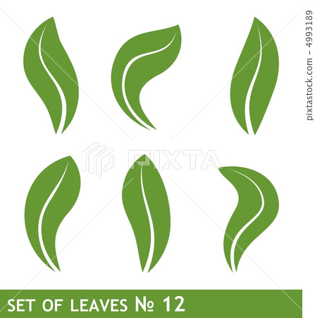 Illustration of leaves set for design 4993189