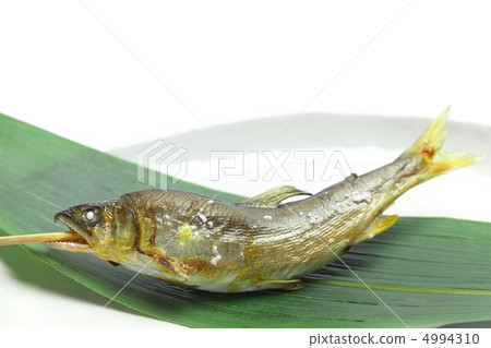 Grilled sweetfish with salt 4994310