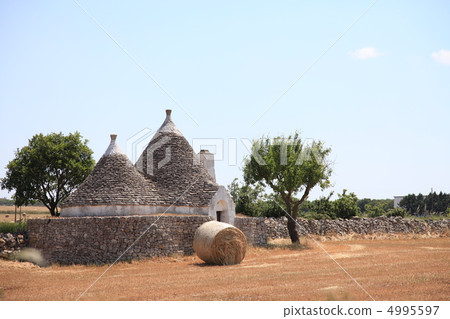 Landscape in the outskirts of Alberobello 4995597