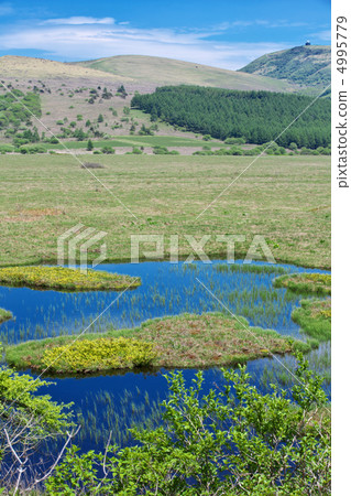 Nagano Shimosuwa-machi Yashima Mogara Nagano Shimosuwa-machi Yashima Mogara 4995779