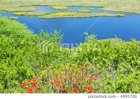 Nagano Shimosuwa-machi Yashima Mogara 4995780