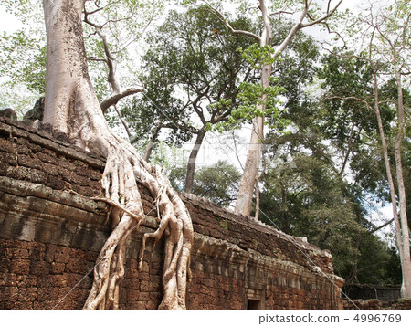 World heritage Ta Prohm temple World heritage Ta Prohm temple 4996769