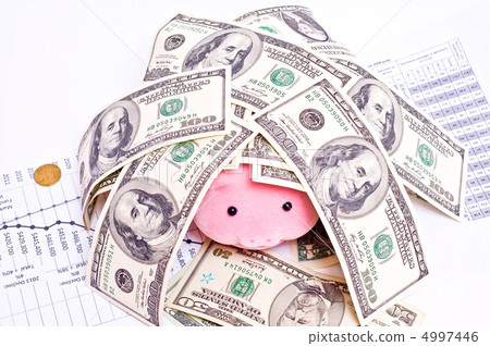 House from money 4997446