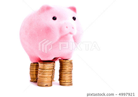 Pig and chinks Pig and chinks 4997921