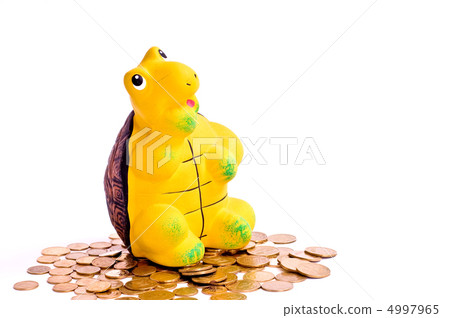 tortoise and money 4997965