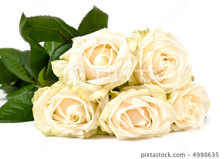 White roses White roses 4998635