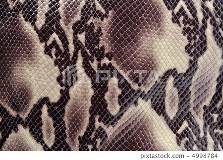 Snakeskin Snakeskin 4998784