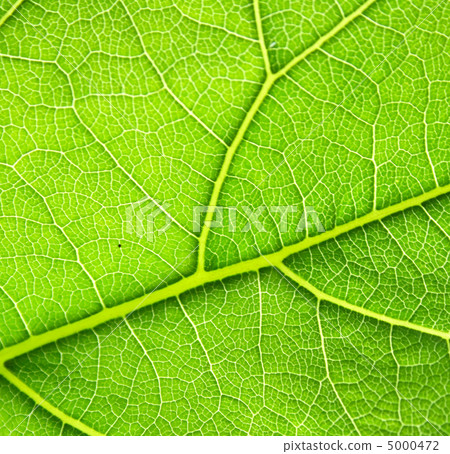 green background green background 5000472