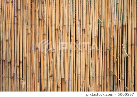 bambus texture 5000597