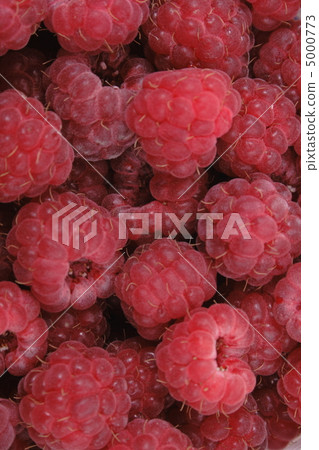raspberries 5000773