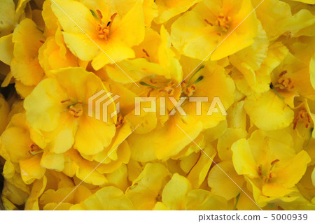 goldenrod background goldenrod background 5000939
